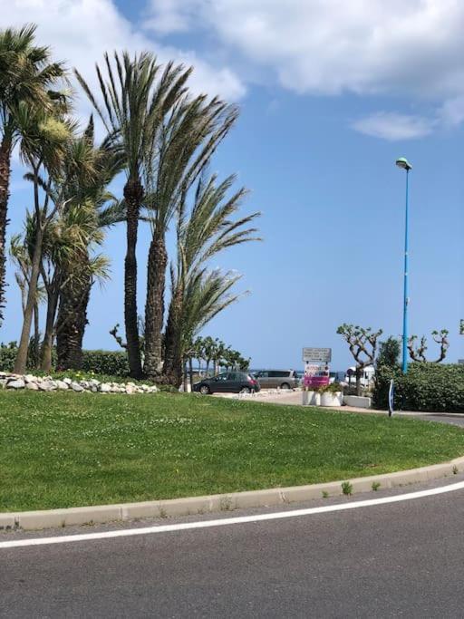 Sur La Plage, Vue Sur Mer, Spacieux T3 Au Calme Saint-Cyprien  Exterior foto